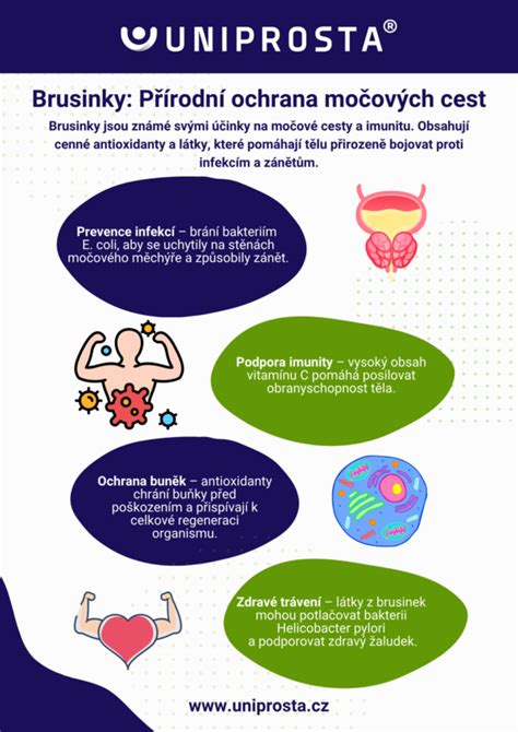 infografika znázorňujúca močové cesty ženy