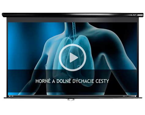 Diagram porovnávajúci horné a dolné dýchacie cesty