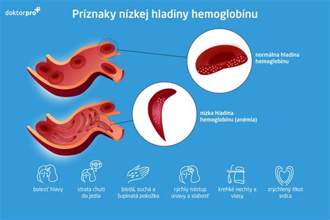 Infografika znázorňujúca transport kyslíka pomocou hemoglobínu