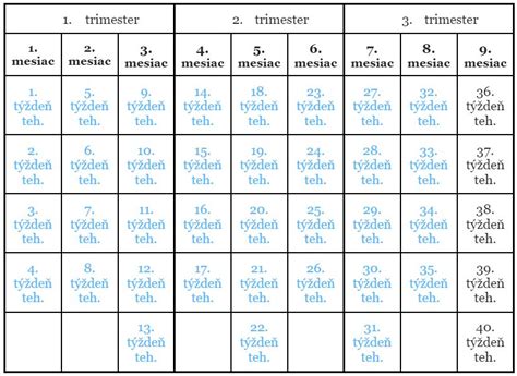 Kalendár tehotenstva s vyznačeným prvým trimestrom