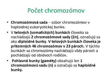 chromozómová štruktúra