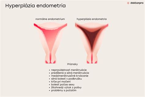 Diagram fáz menštruačného cyklu a zmien endometria