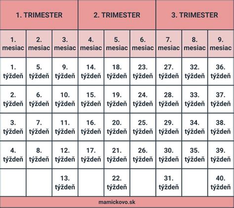 Diagram troch trimestrov tehotenstva