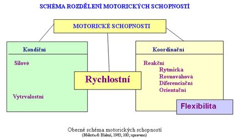Schéma vývoja motorických schopností u dojčaťa