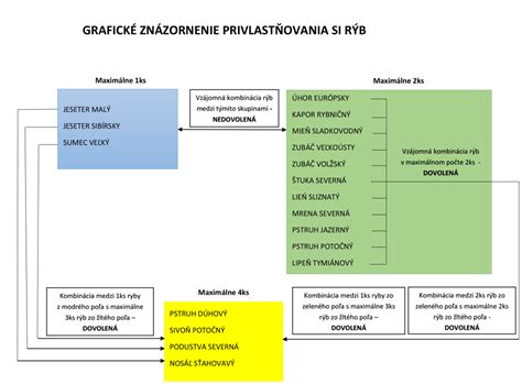 Grafické znázornenie rečového vývinu