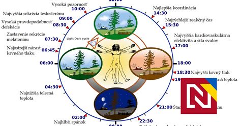Zobrazenie biologických hodín a klesajúcej ovariálnej rezervy