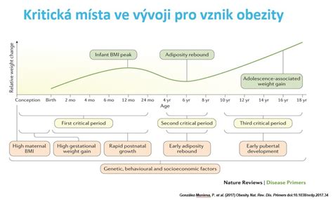 graf vývoja detskej obezity