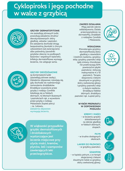 infografika: vývojové míľniky od plazenia po lozenie