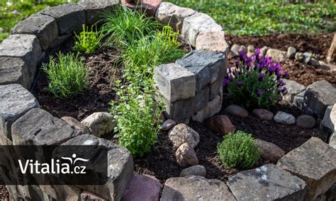 Bylinky používané v tehotenstve