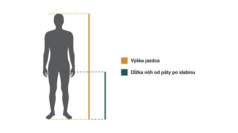 schéma merania dĺžky lyží podľa výšky postavy dieťaťa od hrudníka po bradu