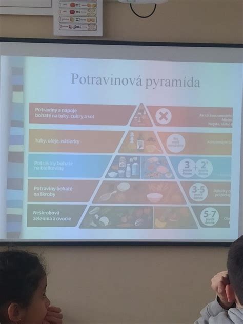 Dôležitosť správneho režimu kŕmenia