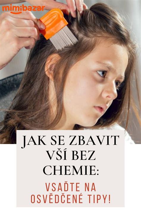 Detailná fotografia vši detskej na vlasovom poraste