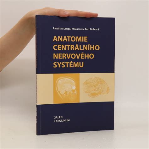 Zobrazenie nervového systému a vnímania podnetov u detí