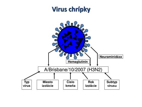 Grafické znázornenie vírusu chrípky
