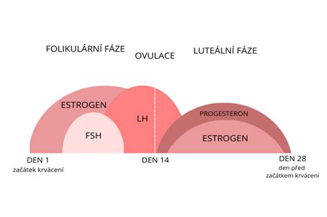Grafika: Emocionálny cyklus po potrate a fázy smútku