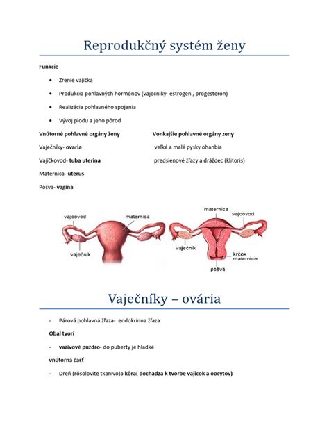 Reprodukčný systém králika