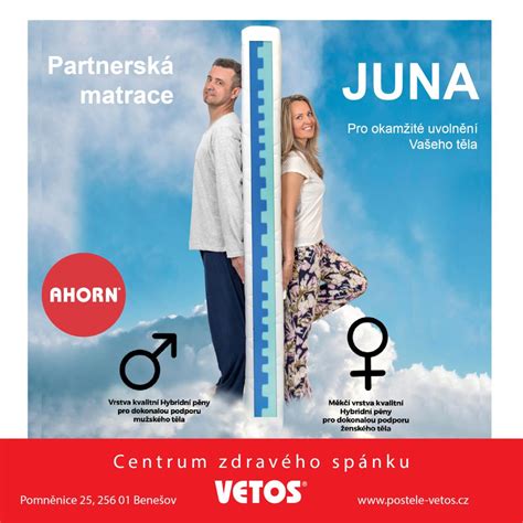 partnerská podpora