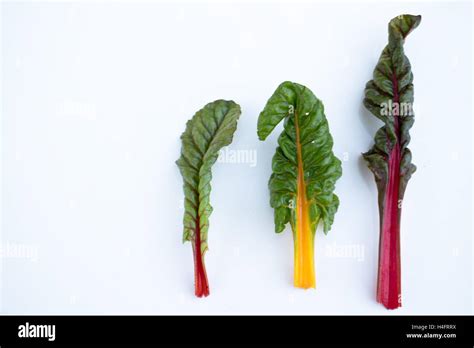 Different types of chard (red, yellow, white)