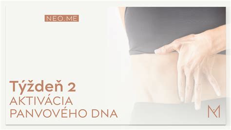Schéma svalov panvového dna a ich úloha pri pôrodnom procese
