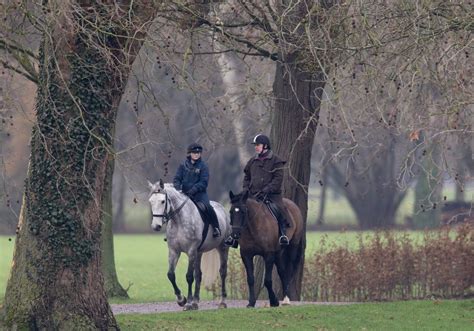 rodina balí veci na sťahovanie