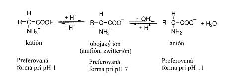 Chemická štruktúra progesterónu