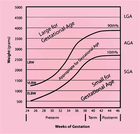 Graphic explaining gestational age vs. embryonic age