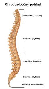 Diagram vývoja zakrivenia chrbtice dieťaťa