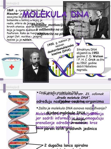Molekula DNA a vedecký laboratórny výskum