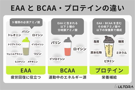 Porovnanie BCAA a EAA
