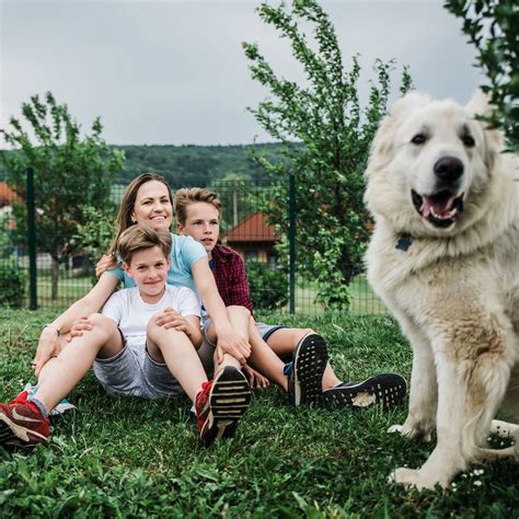 skupinová hra detí pod dohľadom rodičov v bezpečnom prostredí