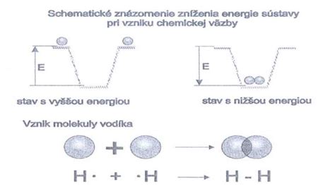 Schematické znázornenie vzniku ľudského života