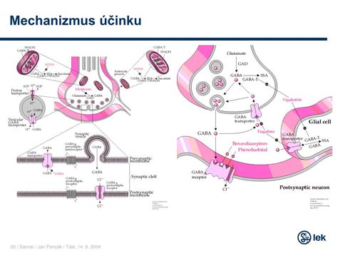 Mechanizmus účinku EmbryoGlue