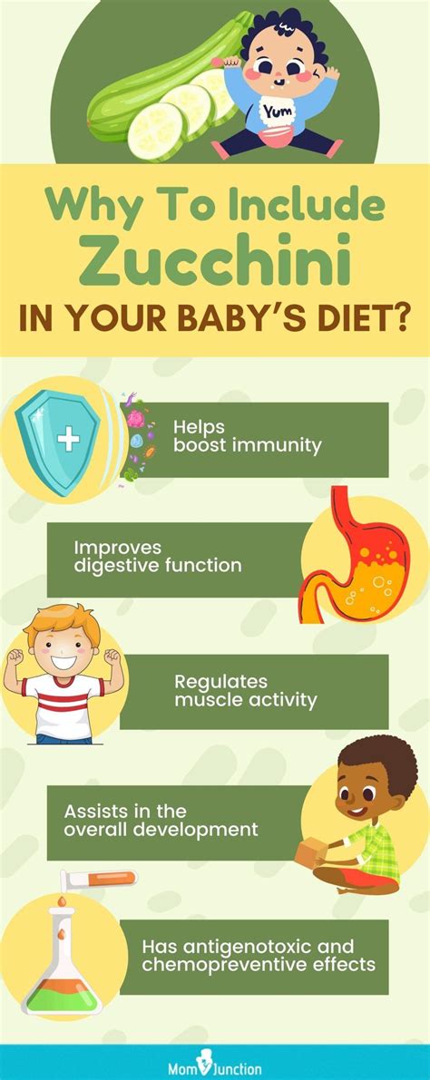 Infographic: Zucchini benefits for babies