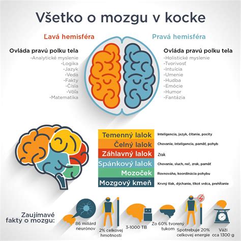 infografika o vývoji zmyslov a mozgu dieťatka v 9. mesiaci