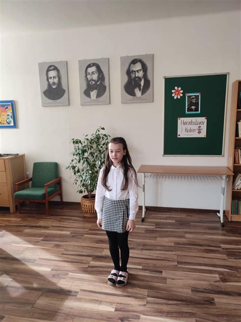 Schéma kategórií Hviezdoslavovho Kubína
