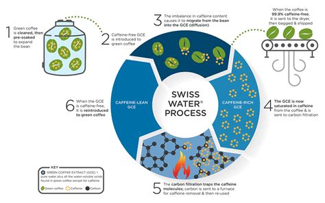 Diagram Swiss Water Method dekofeinizácie