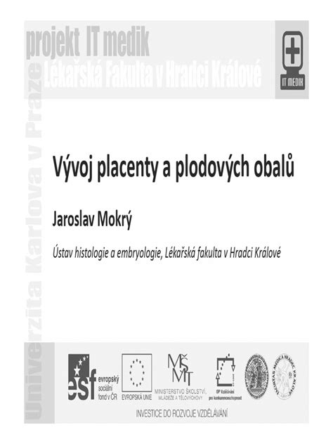 Symbolika a využitie placenty v kultúrach