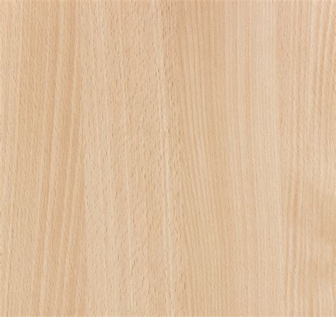 beech wood grain texture