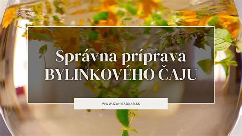 ilustrácia rituálu pitia bylinkového čaju