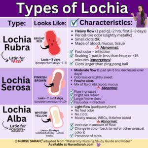 Graphic showing the stages of lochia, from rubra to serosa to alba