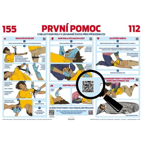 Pomoc pri pôrode mačiatok