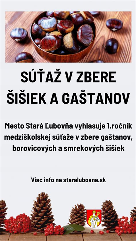 Zber borovicových šišiek na Sibíri