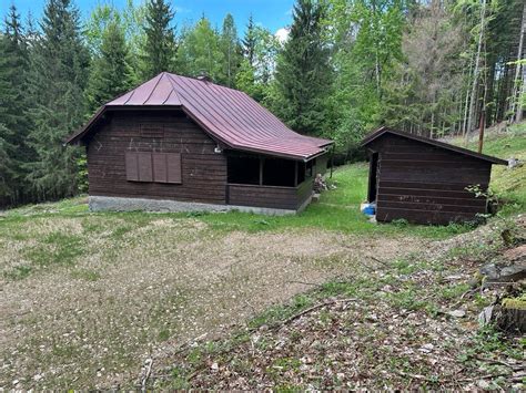 pohľad na útulnú chatu v lese