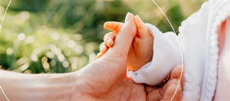 Rozdiel v úspešnosti IVF s vlastnými a darovanými vajíčkami