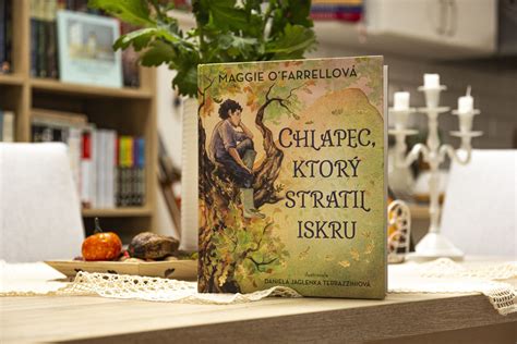 Chlapec a svet vizuálny štýl