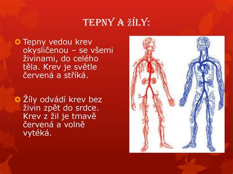 schéma intravenózneho podania infúzie do žily