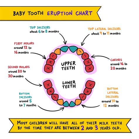 Comparison chart of teething gel ingredients (conceptual)