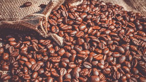 Štruktúra kávového zrna a jeho zloženie