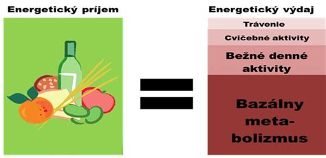 Ilustrácia porovnávajúca energetický príjem a výdaj