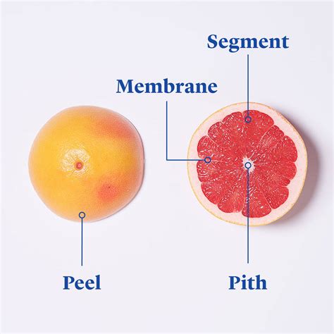 Grapefruit
